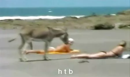 شلخته شاخی به سر و لعنتی در دانلود فیلم سکسی زنده آب می دهد