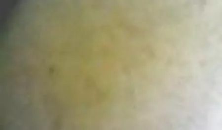 انجمن صربستان دانلود سکس یوگا