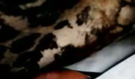 شکاف صورتی ، خروس استاد را می پذیرد دانلود فیلم سکسی در استخر